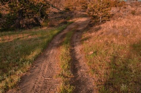 Rob Mallory Dead following Dune Buggy Accident on Ocotillo Wells State Park [San Diego, CA]